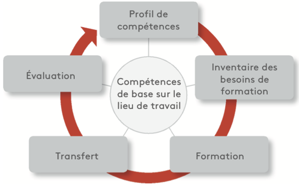 simplementmieux model