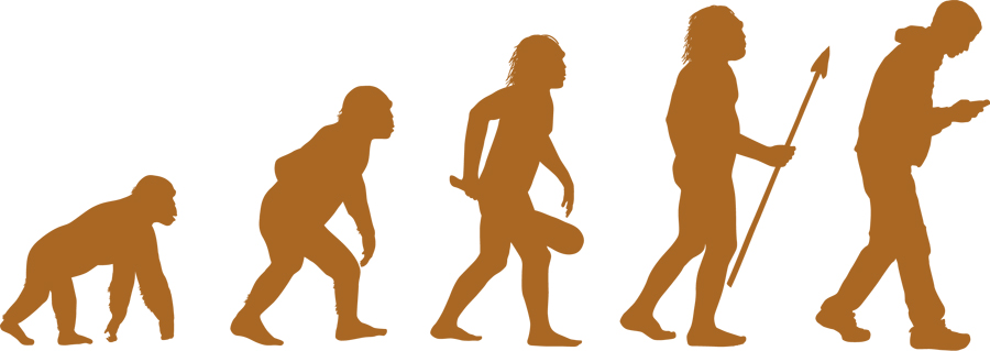 homo evolution geek